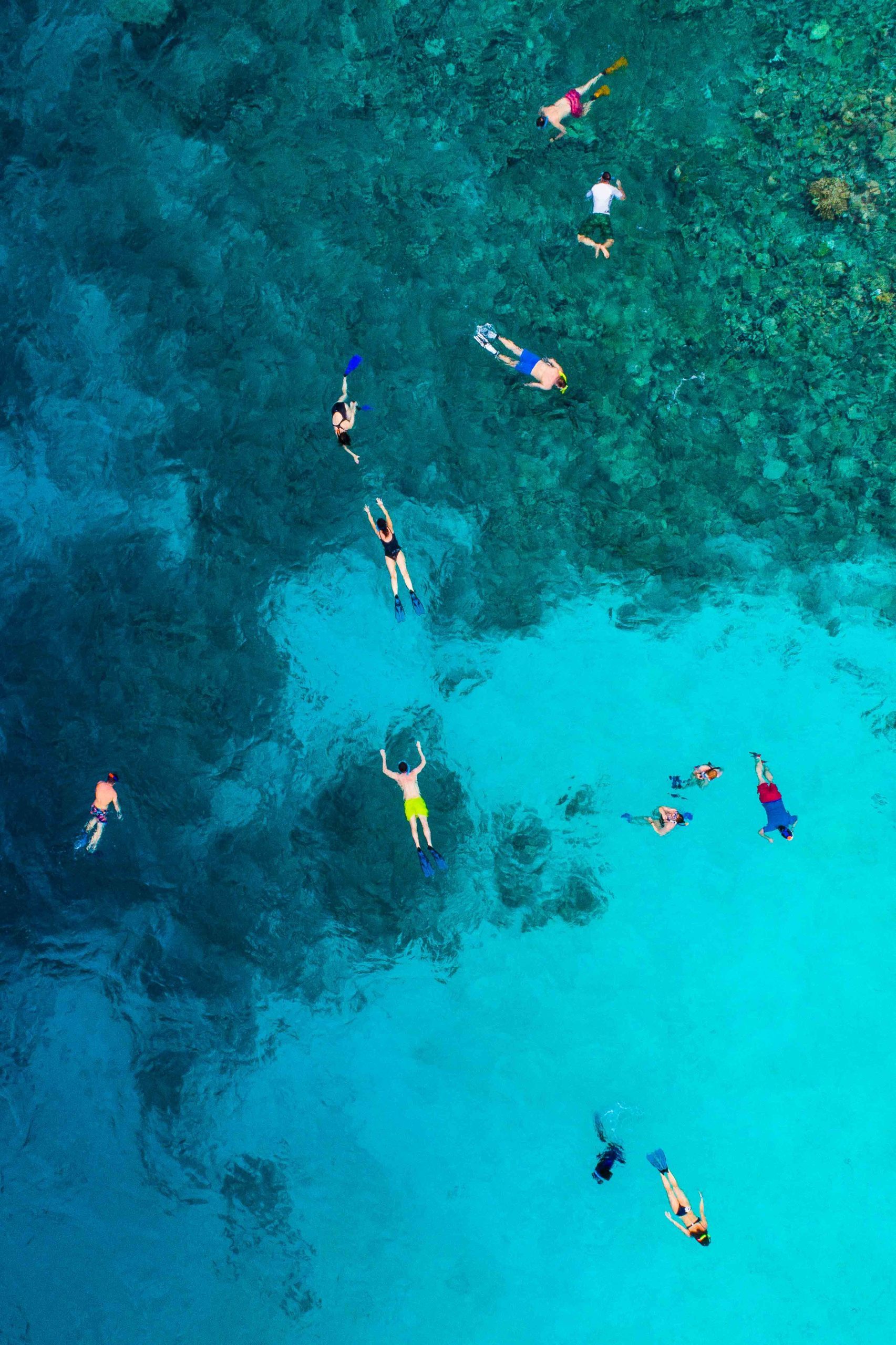 Personas haciendo snorkel