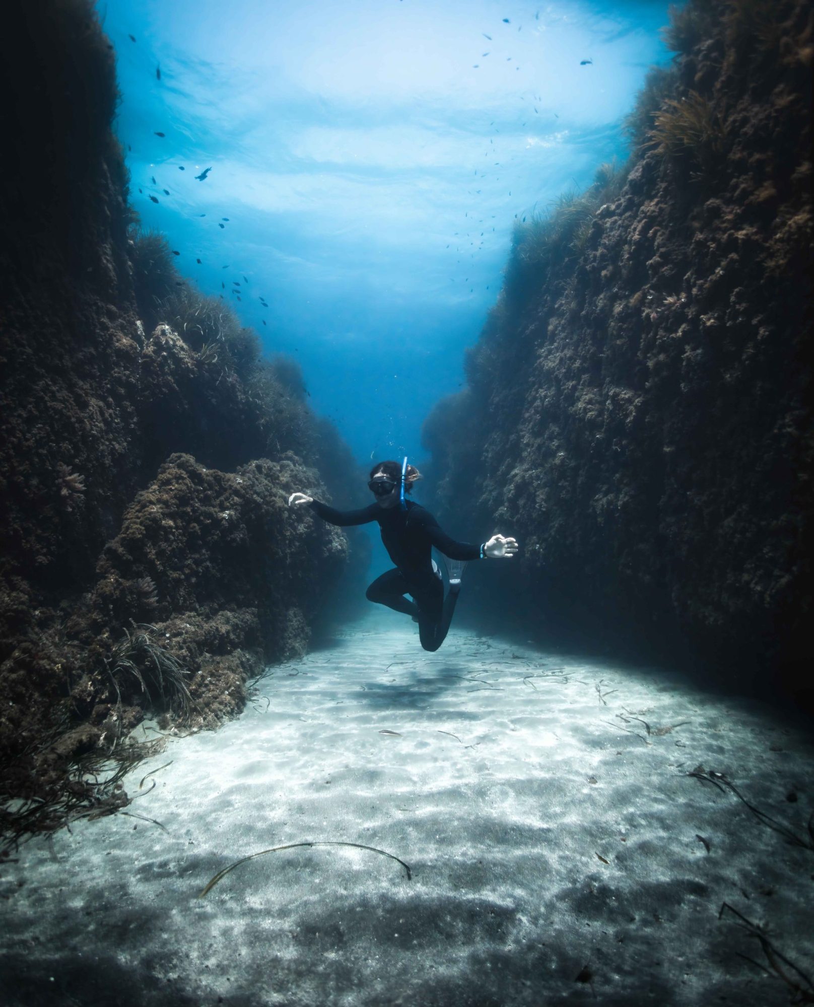 snorkel en cabo de gata
